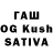Галлюциногенные грибы GOLDEN TEACHER Anil Vohra