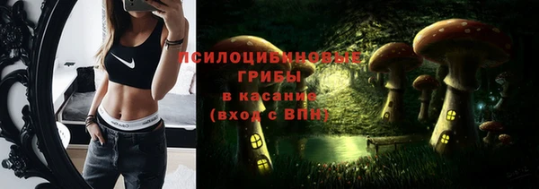 не бодяженный Новозыбков