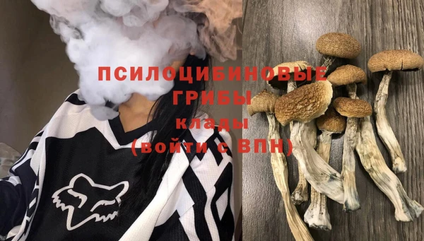 не бодяженный Новозыбков