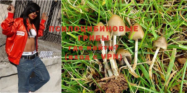 тгк Наволоки
