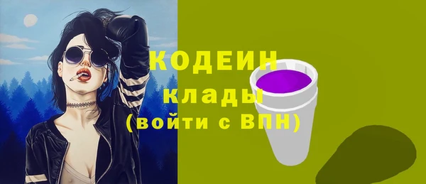 соль ск Нея