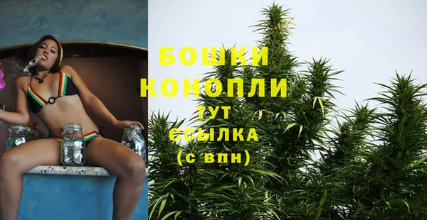 соль ск Нея