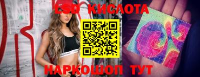 гидропоника Канаш