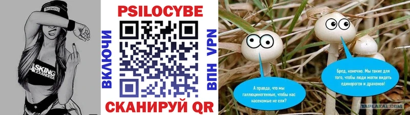 как найти   Людиново  Псилоцибиновые грибы GOLDEN TEACHER 