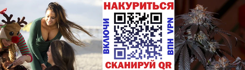 наркотики  Людиново  omg как войти  Каннабис план 